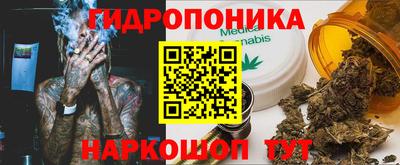 марихуана Кингисепп