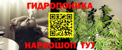 марихуана Кингисепп