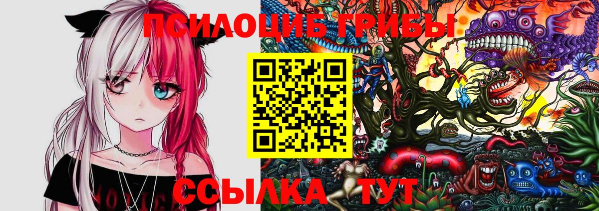 Галлюциногенные грибы Cubensis Добрянка