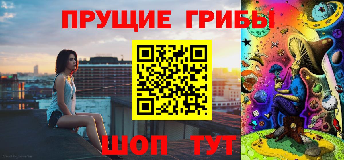 где купить наркоту  Псилоцибиновые грибы Psilocybe  Вход с VPN  Добрянка 